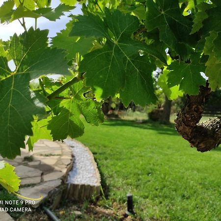 S'Istentale Porto Torres Εξωτερικό φωτογραφία